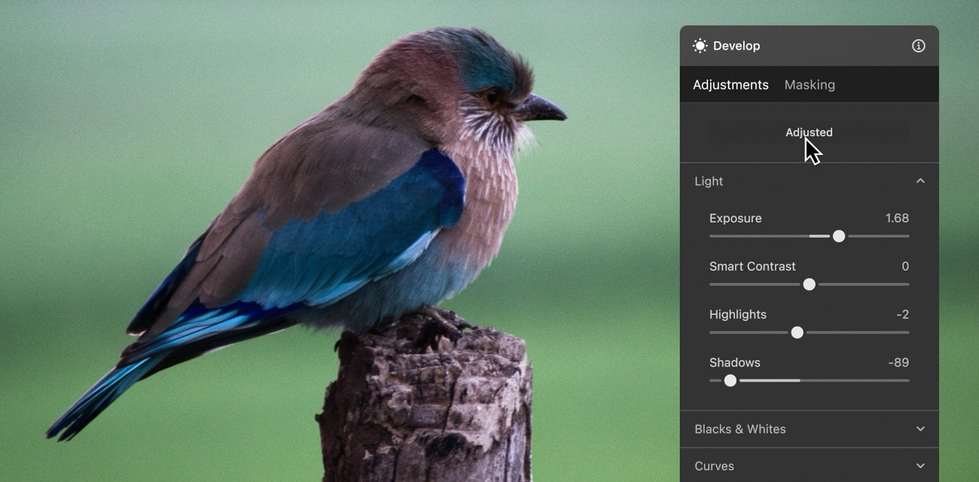 Luminar Neo - Easy Photo Editor | Software for Mac & PC(7)